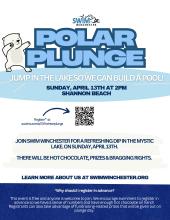 Polar Plunge flier