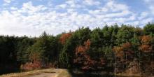Flier for Walls, Rock & Rum: The Colonial History of the Middlesex Fells
