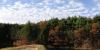 Flier for Walls, Rock & Rum: The Colonial History of the Middlesex Fells